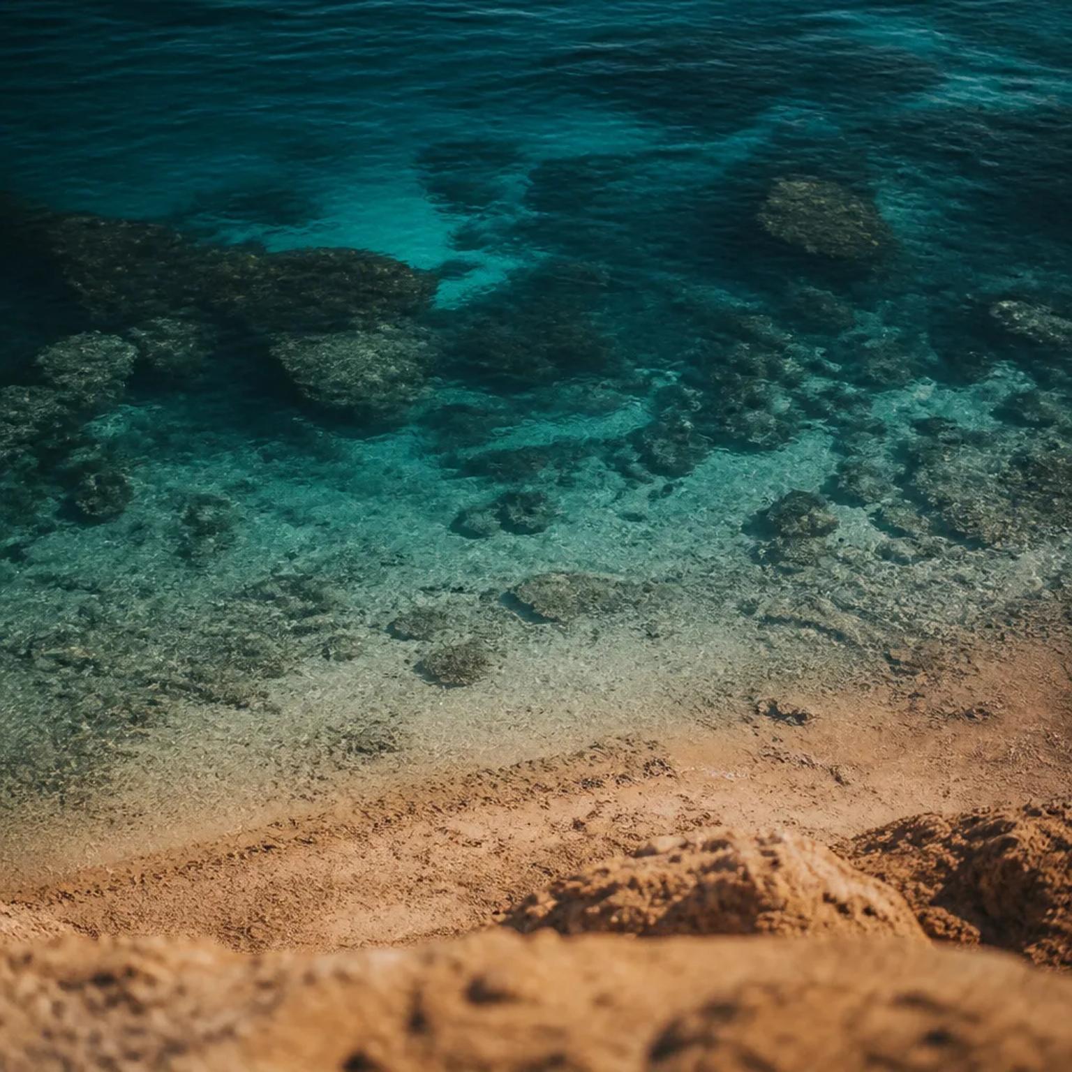Clear shallow water above a reef on the Red Sea coast